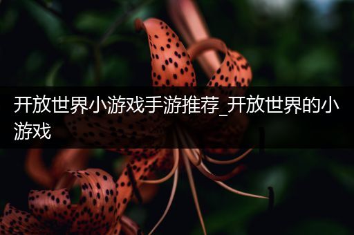 开放世界小游戏手游推荐_开放世界的小游戏