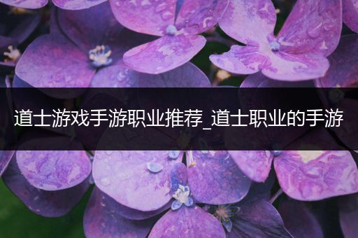 道士游戏手游职业推荐_道士职业的手游