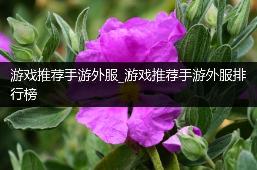 游戏推荐手游外服_游戏推荐手游外服排行榜