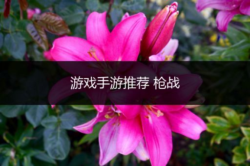 游戏手游推荐 枪战