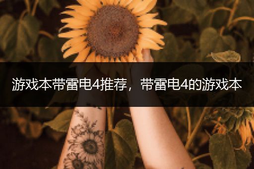 游戏本带雷电4推荐，带雷电4的游戏本