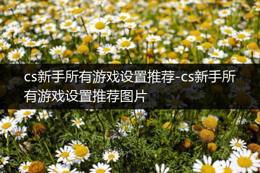 cs新手所有游戏设置推荐-cs新手所有游戏设置推荐图片