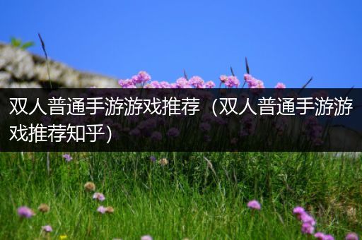 双人普通手游游戏推荐（双人普通手游游戏推荐知乎）