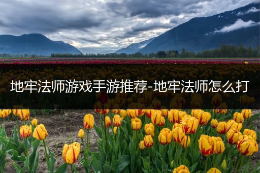 地牢法师游戏手游推荐-地牢法师怎么打