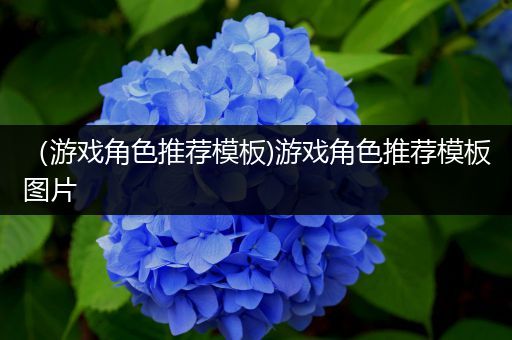（游戏角色推荐模板)游戏角色推荐模板图片