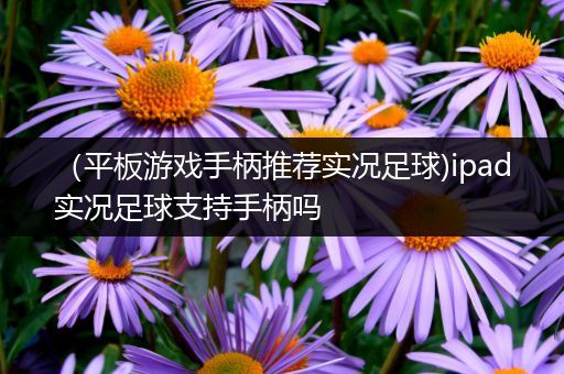 （平板游戏手柄推荐实况足球)ipad实况足球支持手柄吗