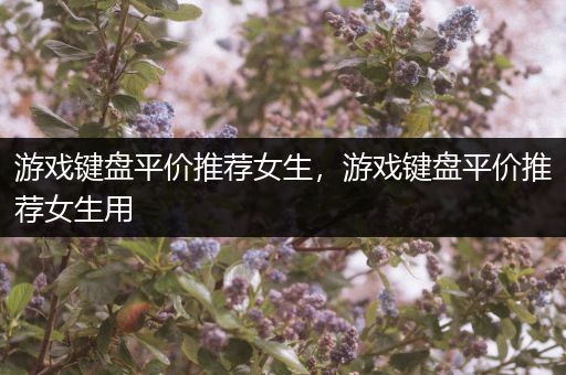 游戏键盘平价推荐女生，游戏键盘平价推荐女生用