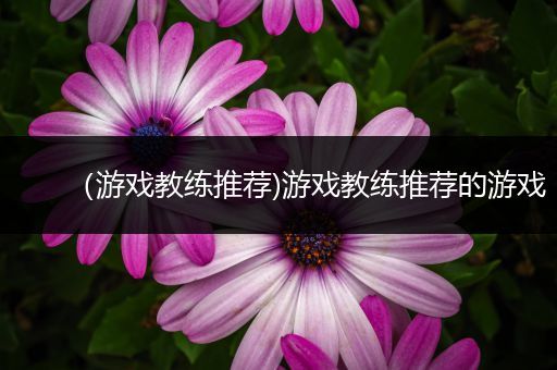 （游戏教练推荐)游戏教练推荐的游戏