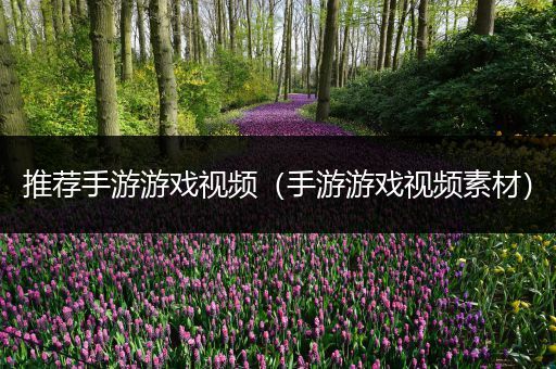 推荐手游游戏视频（手游游戏视频素材）