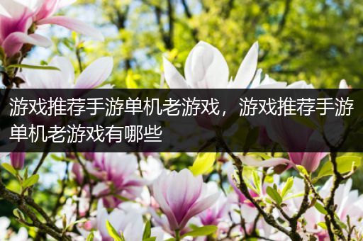 游戏推荐手游单机老游戏，游戏推荐手游单机老游戏有哪些