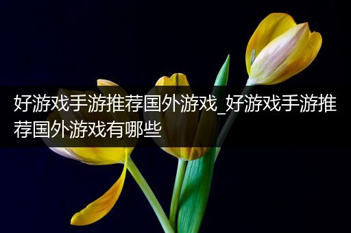好游戏手游推荐国外游戏_好游戏手游推荐国外游戏有哪些