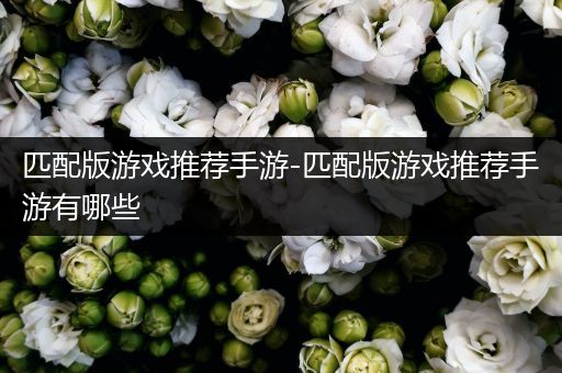 匹配版游戏推荐手游-匹配版游戏推荐手游有哪些