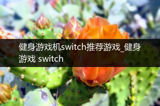 健身游戏机switch推荐游戏_健身游戏 switch