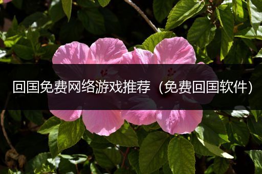 回国免费网络游戏推荐（免费回国软件）