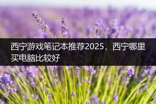 西宁游戏笔记本推荐2025，西宁哪里买电脑比较好