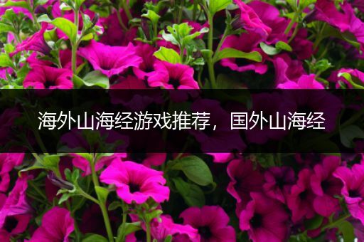 海外山海经游戏推荐，国外山海经