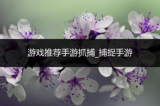 游戏推荐手游抓捕_捕捉手游