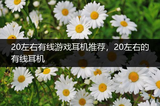 20左右有线游戏耳机推荐，20左右的有线耳机