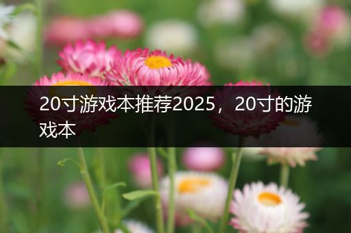 20寸游戏本推荐2025，20寸的游戏本