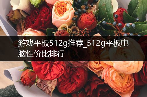 游戏平板512g推荐_512g平板电脑性价比排行