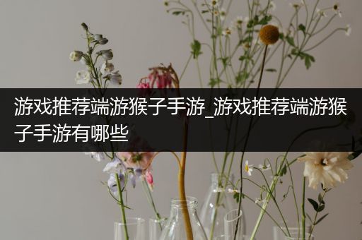 游戏推荐端游猴子手游_游戏推荐端游猴子手游有哪些