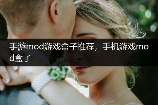 手游mod游戏盒子推荐，手机游戏mod盒子