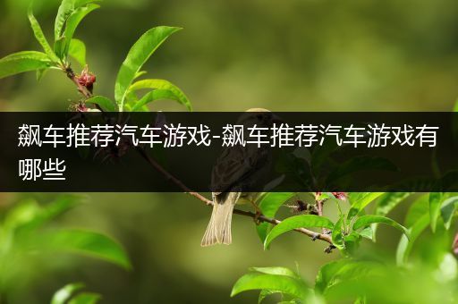 飙车推荐汽车游戏-飙车推荐汽车游戏有哪些