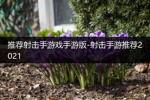 推荐射击手游戏手游版-射击手游推荐2021