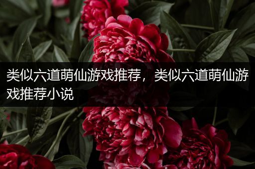 类似六道萌仙游戏推荐，类似六道萌仙游戏推荐小说