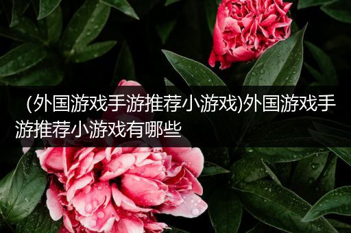 （外国游戏手游推荐小游戏)外国游戏手游推荐小游戏有哪些