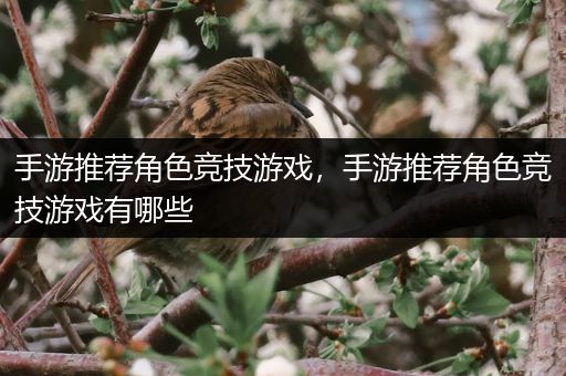 手游推荐角色竞技游戏，手游推荐角色竞技游戏有哪些