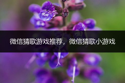 微信猜歌游戏推荐，微信猜歌小游戏