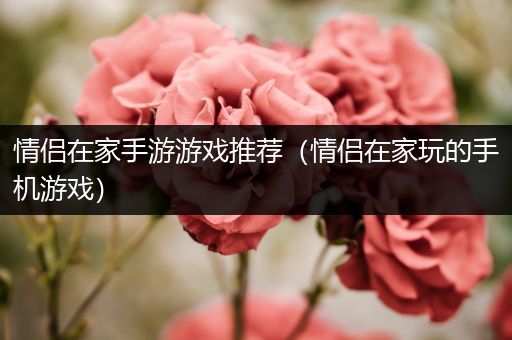 情侣在家手游游戏推荐（情侣在家玩的手机游戏）