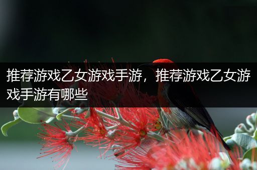 推荐游戏乙女游戏手游，推荐游戏乙女游戏手游有哪些