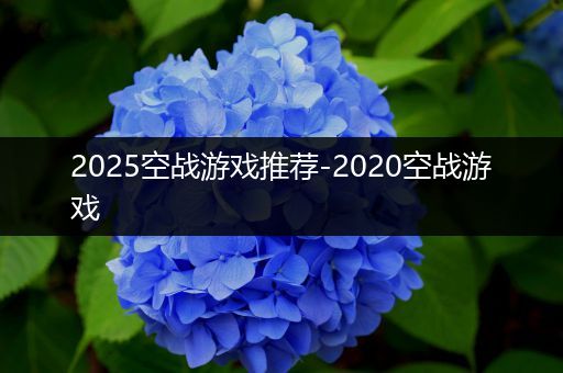 2025空战游戏推荐-2020空战游戏