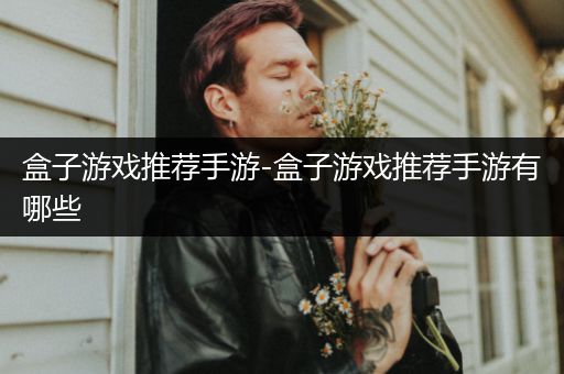 盒子游戏推荐手游-盒子游戏推荐手游有哪些