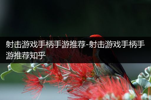 射击游戏手柄手游推荐-射击游戏手柄手游推荐知乎