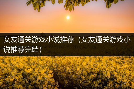 女友通关游戏小说推荐（女友通关游戏小说推荐完结）