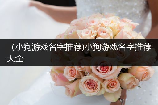 （小狗游戏名字推荐)小狗游戏名字推荐大全