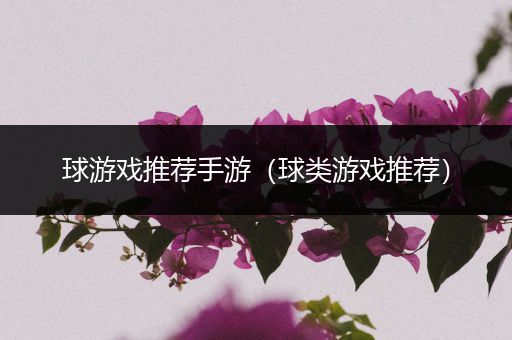 球游戏推荐手游（球类游戏推荐）