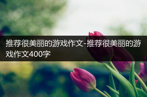 推荐很美丽的游戏作文-推荐很美丽的游戏作文400字