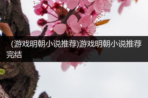 （游戏明朝小说推荐)游戏明朝小说推荐完结