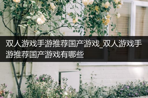双人游戏手游推荐国产游戏_双人游戏手游推荐国产游戏有哪些
