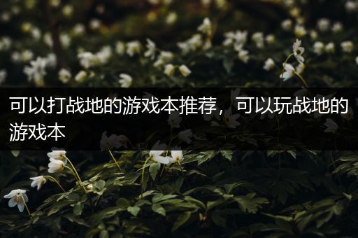 可以打战地的游戏本推荐，可以玩战地的游戏本