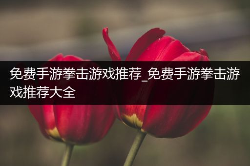 免费手游拳击游戏推荐_免费手游拳击游戏推荐大全
