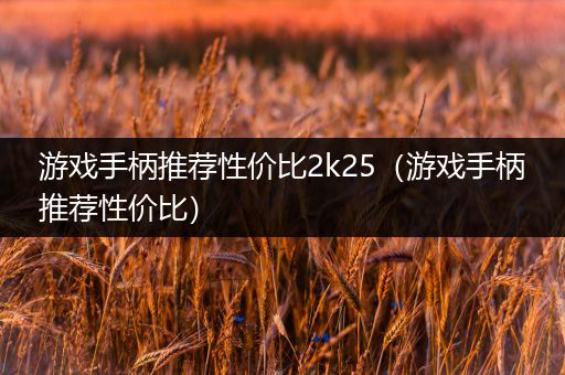 游戏手柄推荐性价比2k25（游戏手柄推荐性价比）