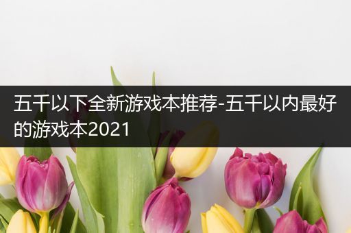 五千以下全新游戏本推荐-五千以内最好的游戏本2021