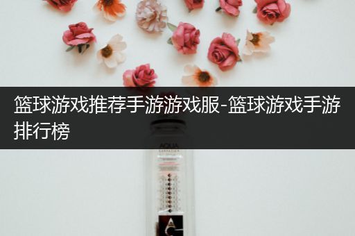 篮球游戏推荐手游游戏服-篮球游戏手游排行榜
