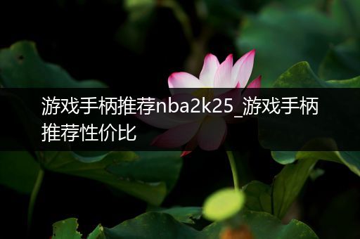 游戏手柄推荐nba2k25_游戏手柄推荐性价比