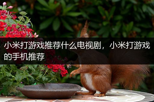 小米打游戏推荐什么电视剧，小米打游戏的手机推荐